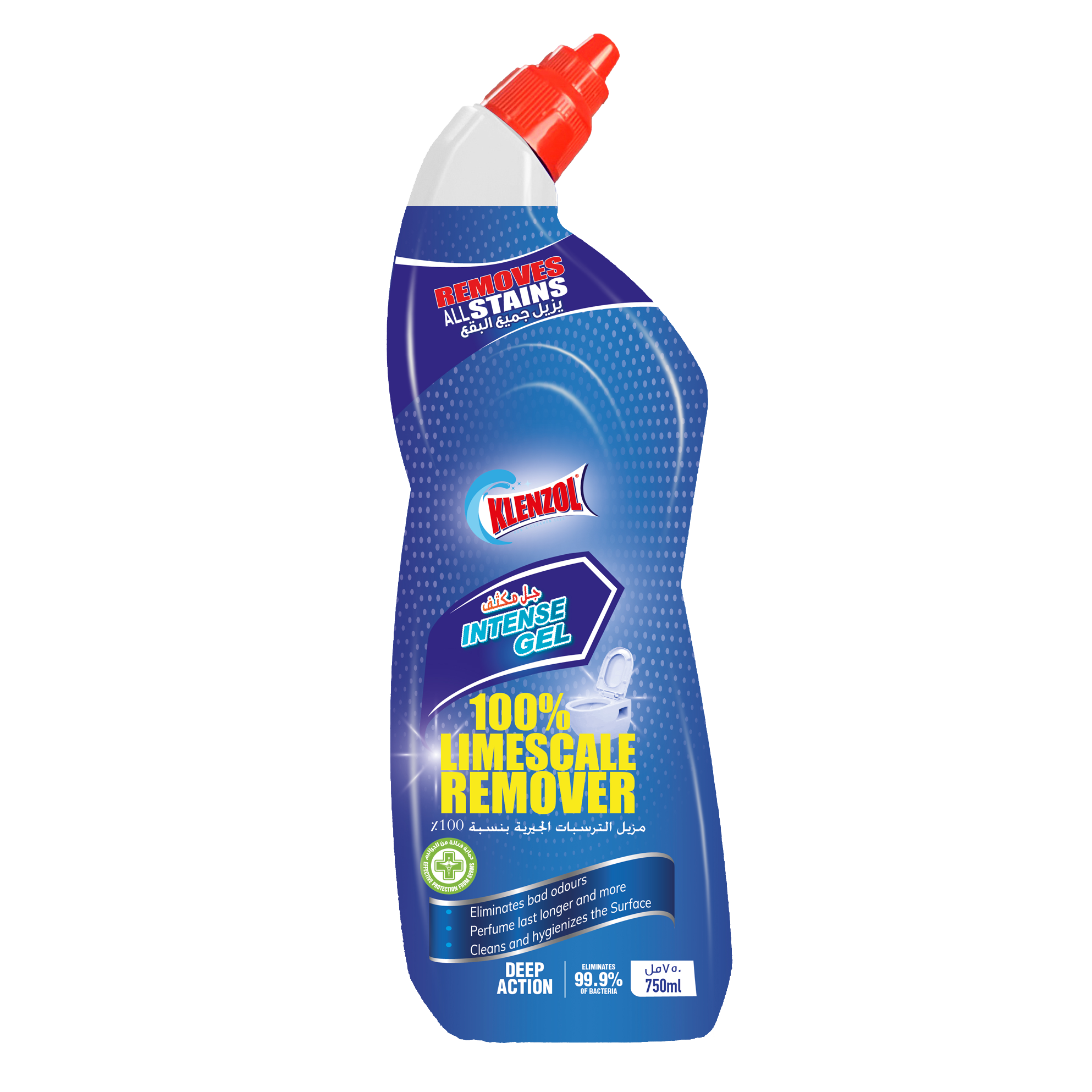TOILET CLEANER BLUE 750ML