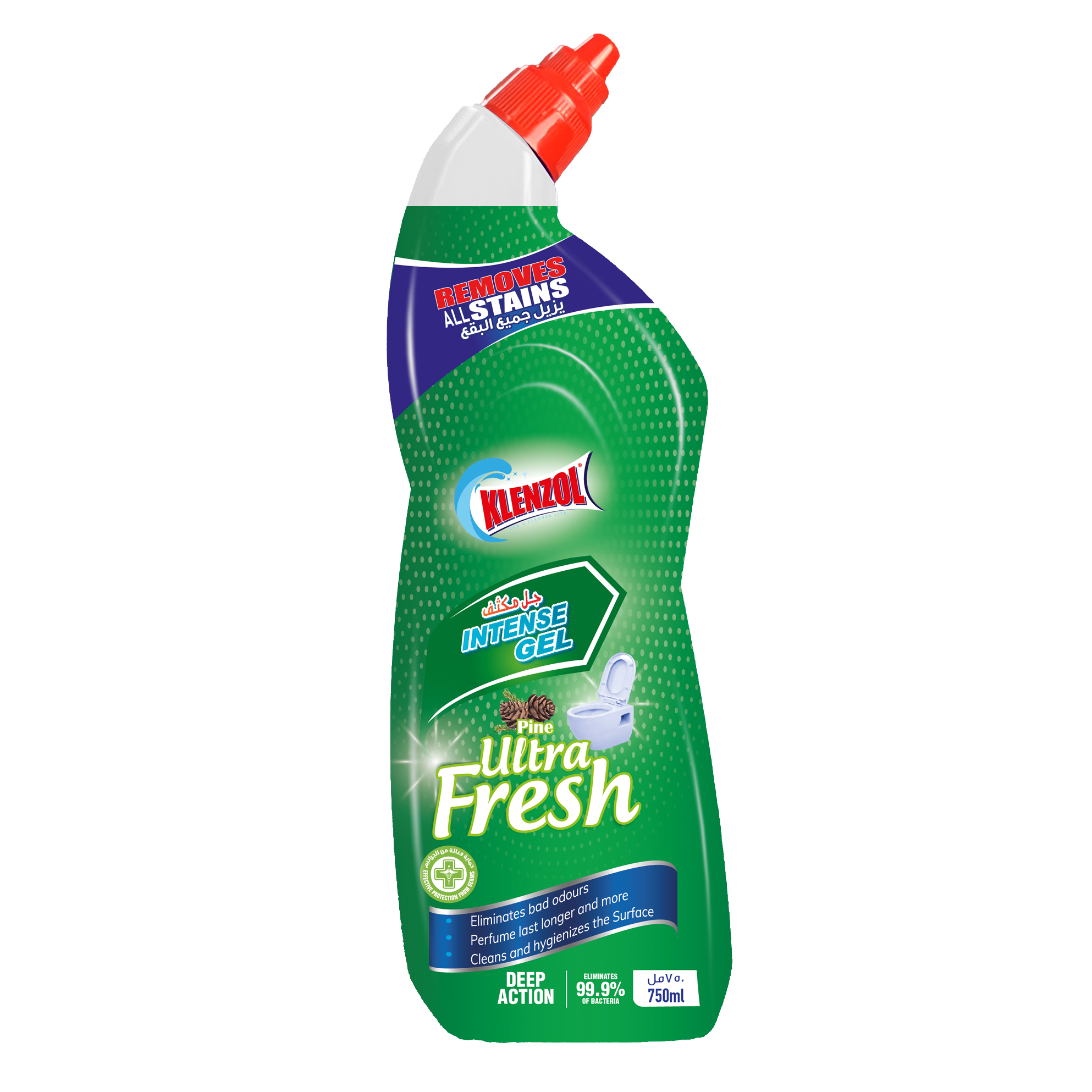 TOILET CLEANER PINE 750ML