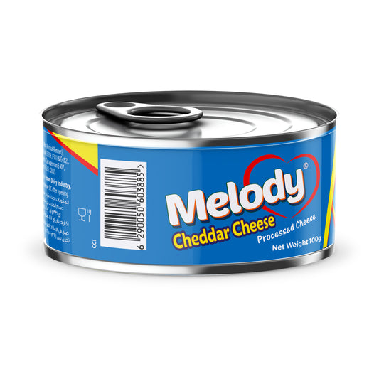 CHEESE CHEDDAR 100G